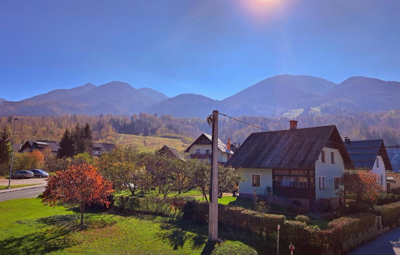 Apartmaji Alpski Cvet - Hisa Gorenc Bohinj Exterior foto