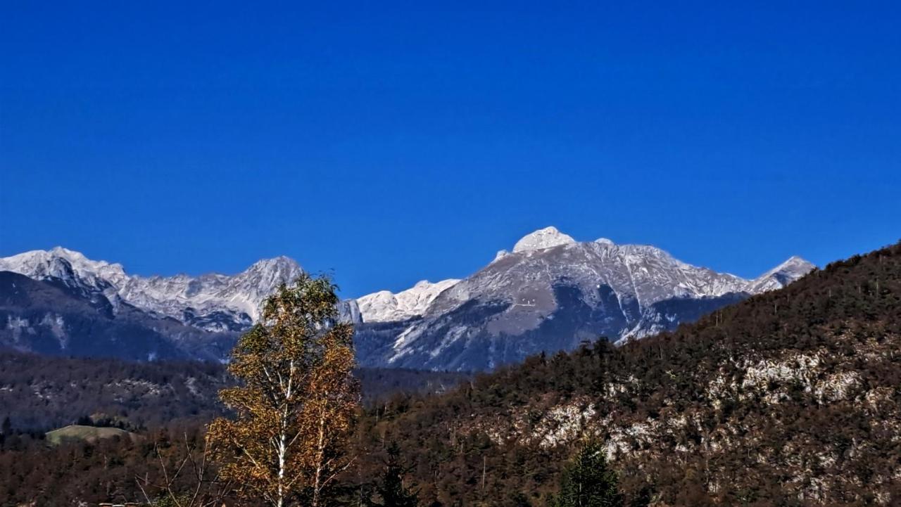 Apartmaji Alpski Cvet - Hisa Gorenc Bohinj Exterior foto