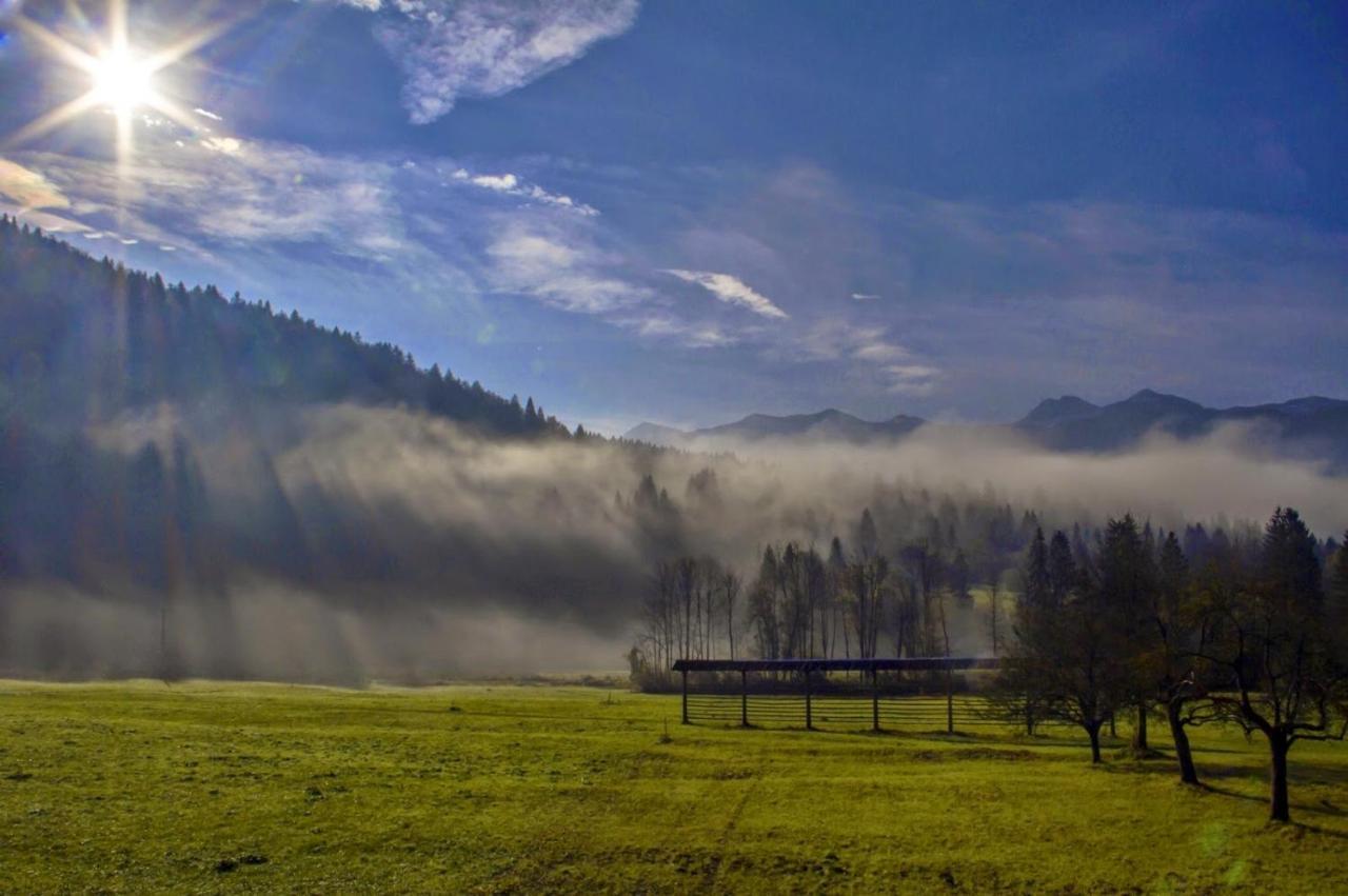Apartmaji Alpski Cvet - Hisa Gorenc Bohinj Exterior foto