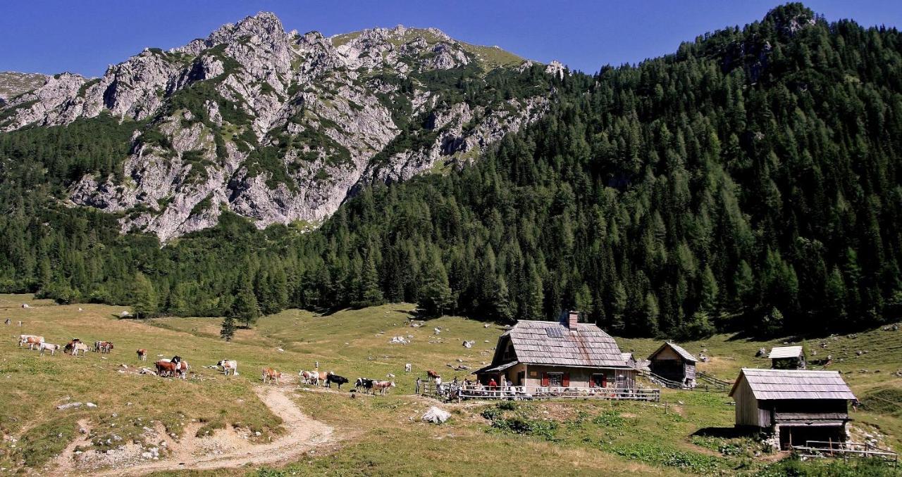 Apartmaji Alpski Cvet - Hisa Gorenc Bohinj Exterior foto