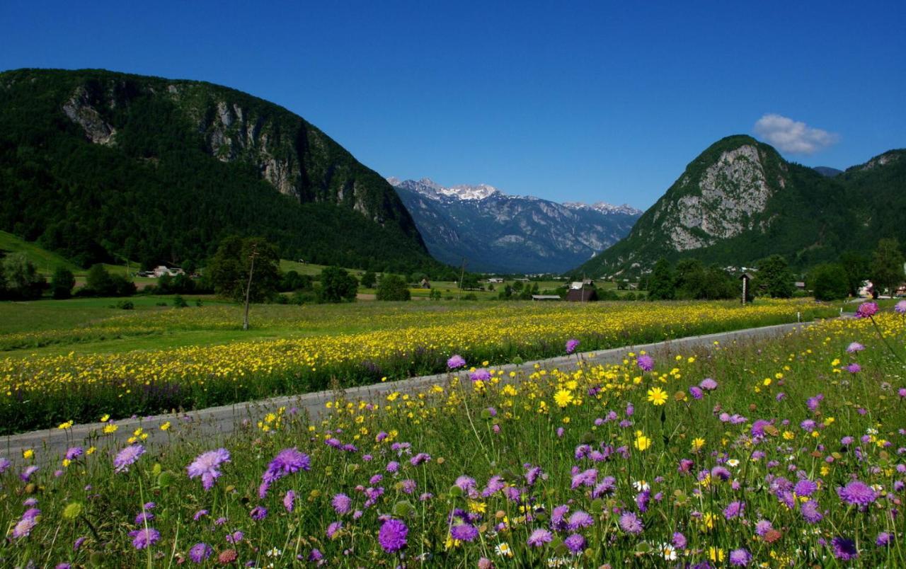 Apartmaji Alpski Cvet - Hisa Gorenc Bohinj Exterior foto