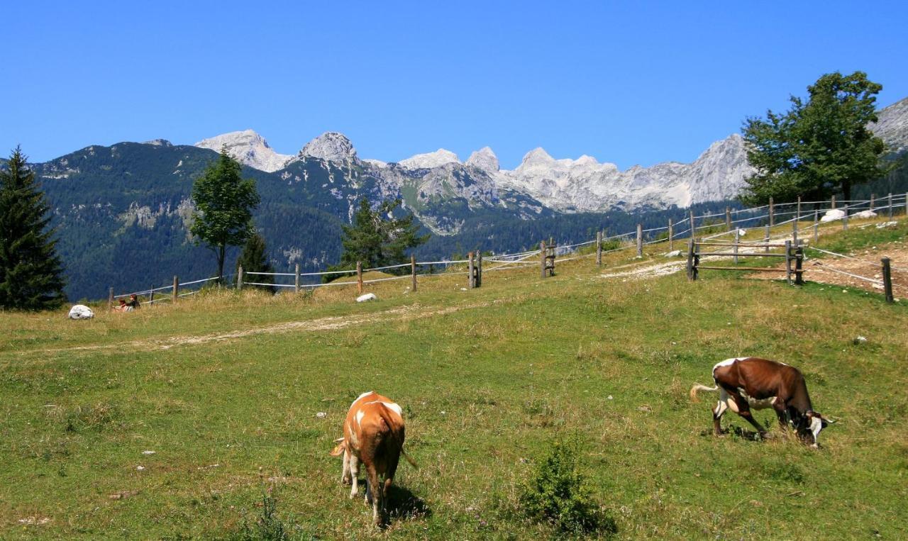 Apartmaji Alpski Cvet - Hisa Gorenc Bohinj Exterior foto