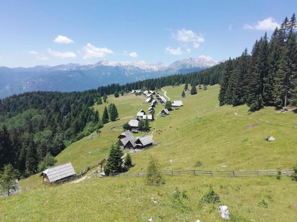 Apartmaji Alpski Cvet - Hisa Gorenc Bohinj Exterior foto